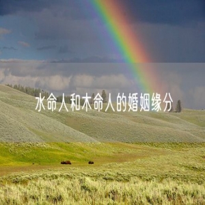水命人和木命人的婚姻缘分