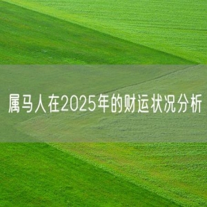 属马人在2025年的财运状况分析
