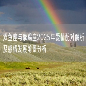 双鱼座与摩羯座2025年爱情配对解析及感情发展前景分析