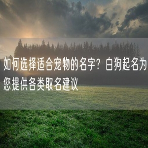 如何选择适合宠物的名字？白狗起名为您提供各类取名建议