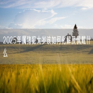 2025年属猪犯太岁该如何化解及佩戴什么