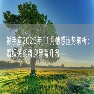 射手座2025年11月情感运势解析：婚姻关系将迎显著升温