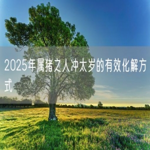 2025年属猪之人冲太岁的有效化解方式