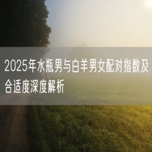 2025年水瓶男与白羊男女配对指数及合适度深度解析