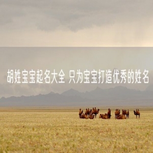 胡姓宝宝起名大全 只为宝宝打造优秀的姓名