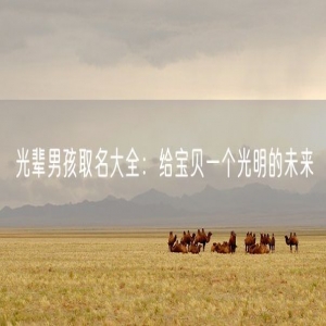 光辈男孩取名大全：给宝贝一个光明的未来