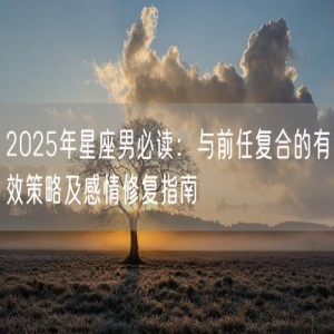2025年星座男必读：与前任复合的有效策略及感情修复指南