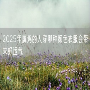 2025年属鸡的人穿哪种颜色衣服会带来好运气