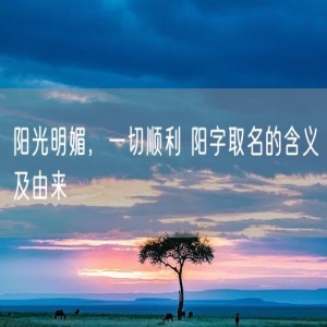 阳光明媚，一切顺利 阳字取名的含义及由来