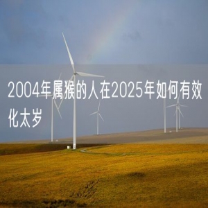 2004年属猴的人在2025年如何有效化太岁