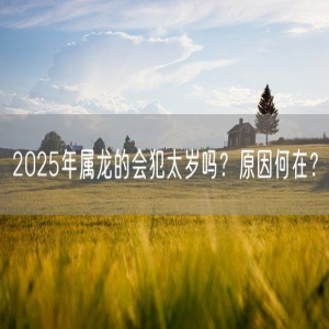 2025年属龙的会犯太岁吗？原因何在？