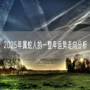 2025年属蛇人的一整年运势走向分析