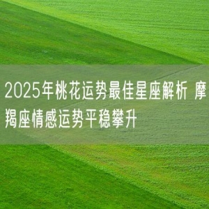 2025年桃花运势最佳星座解析 摩羯座情感运势平稳攀升