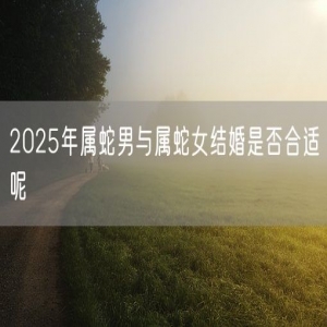 2025年属蛇男与属蛇女结婚是否合适呢