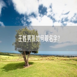 王姓男孩如何取名字？