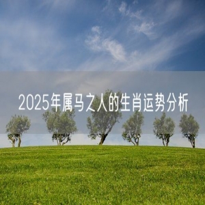 2025年属马之人的生肖运势分析