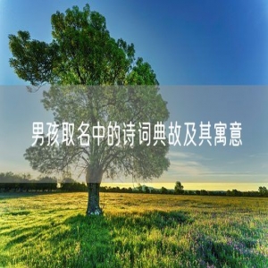 男孩取名中的诗词典故及其寓意