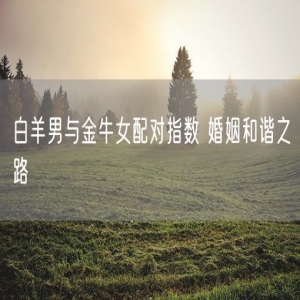 白羊男与金牛女配对指数 婚姻和谐之路
