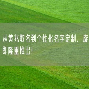 从黄兆取名到个性化名字定制，旋即隆重推出！