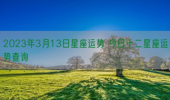 2023年3月13日星座运势 今日十二星座运势查询(图1)