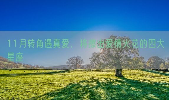 11月转角遇真爱，将擦出爱情火花的四大星座(图1)