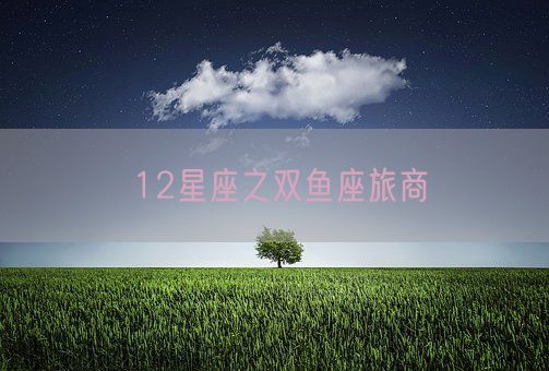 12星座之双鱼座旅商(图1)