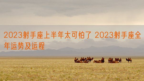 2023射手座上半年太可怕了 2023射手座全年运势及运程(图1)