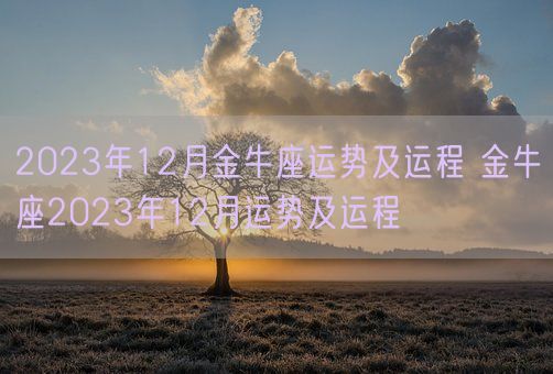 2023年12月金牛座运势及运程 金牛座2023年12月运势及运程(图1)