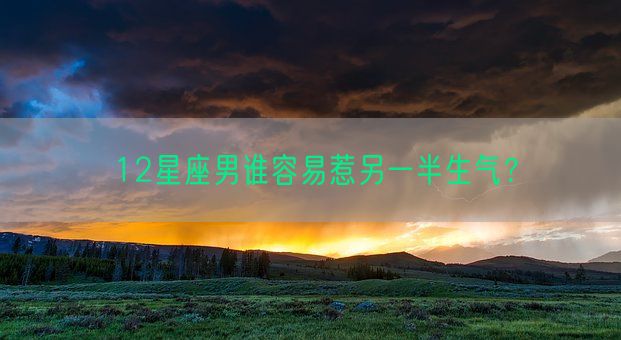 12星座男谁容易惹另一半生气？(图1)