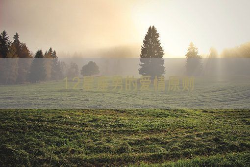 12星座男的爱情原则(图1)