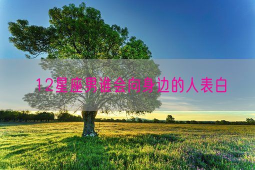 12星座男谁会向身边的人表白(图1)