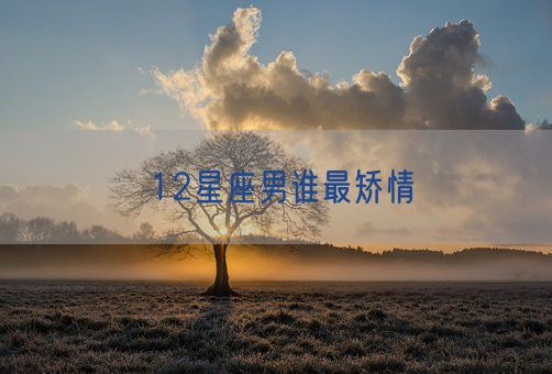 12星座男谁最矫情(图1)