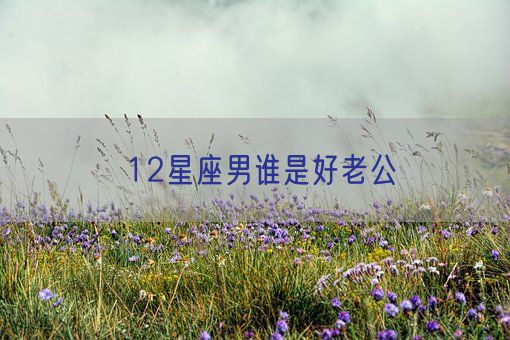12星座男谁是好老公(图1)