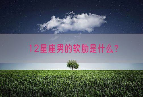 12星座男的软肋是什么？(图1)