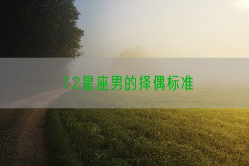 12星座男的择偶标准(图1)
