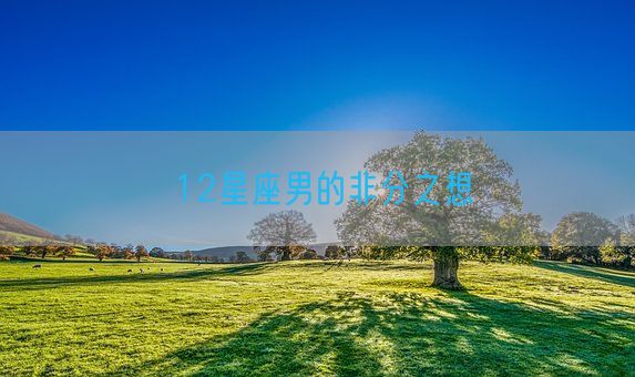 12星座男的非分之想(图1)
