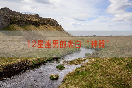 12星座男的表白“神器”(图1)