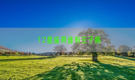12星座男谁有王子病(图1)