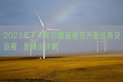 2023年下半年巨蟹座桃花方面运势及运程  爱情运详解(图1)