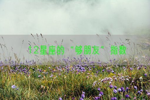12星座的“够朋友”指数(图1)