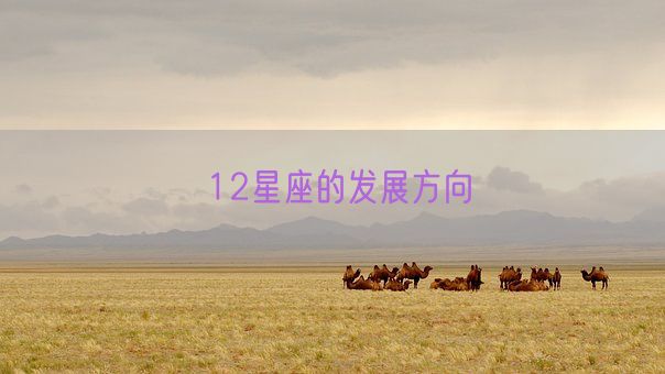 12星座的发展方向(图1)