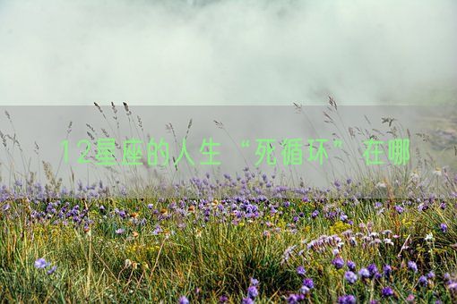 12星座的人生“死循环”在哪(图1)