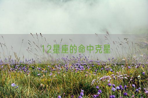 12星座的命中克星(图1)