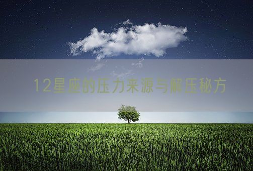 12星座的压力来源与解压秘方(图1)