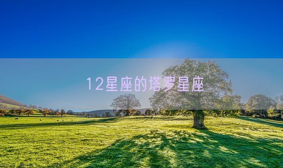 12星座的塔罗星座(图1)