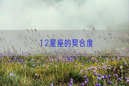12星座的契合度(图1)