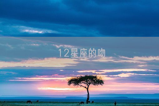 12星座的吻(图1)