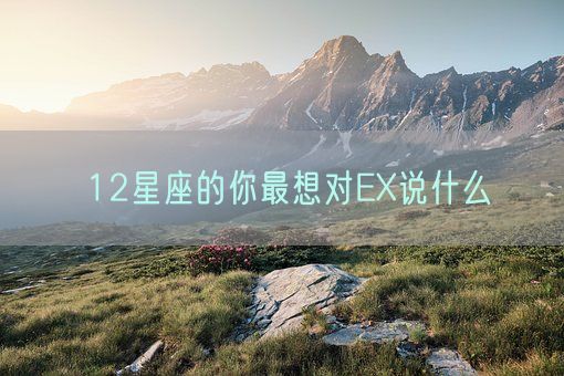 12星座的你最想对EX说什么(图1)
