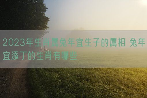 2023年生肖属兔年宜生子的属相 兔年宜添丁的生肖有哪些(图1)