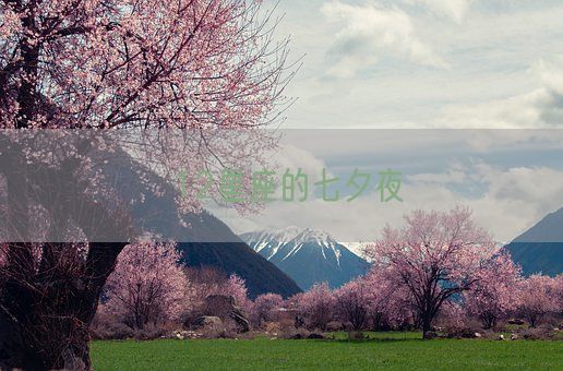 12星座的七夕夜(图1)